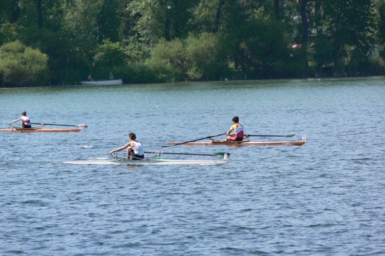 2013_ellida_002.jpg