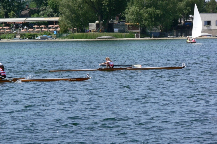 2013_ellida_006.jpg