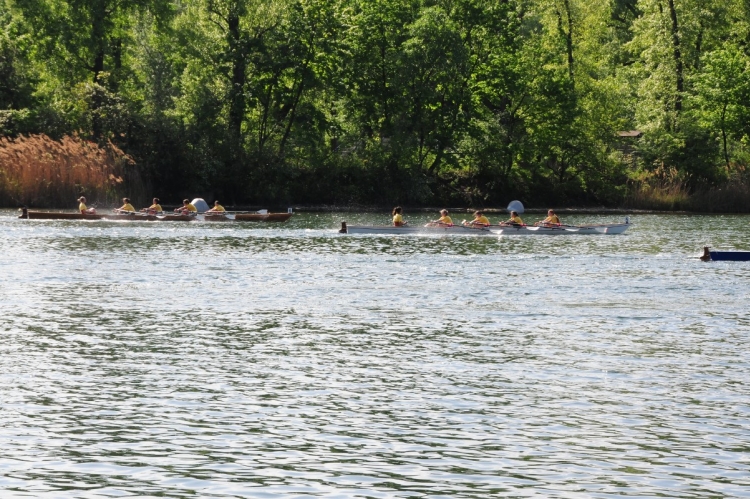 2013_vrc_003.jpg