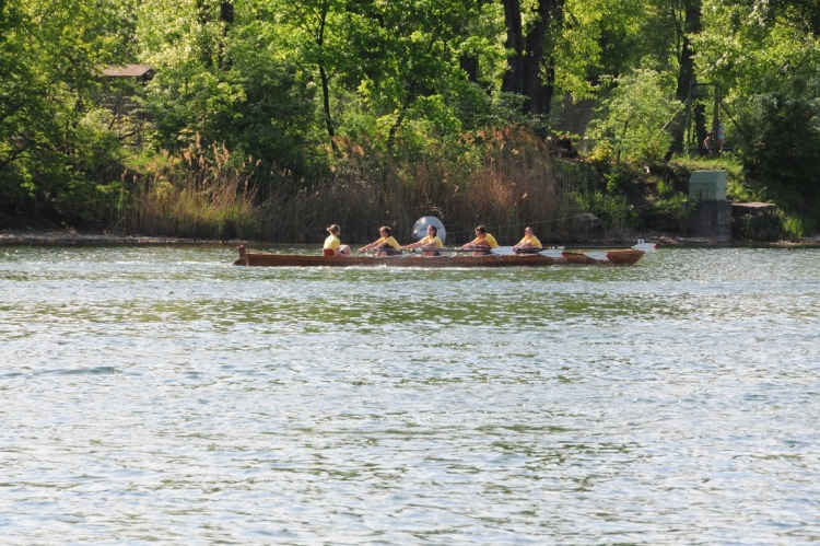 2013_vrc_005.jpg